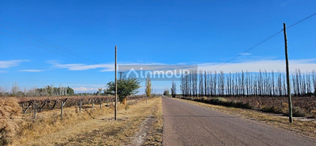 Finca en Venta en Lavalle, Mendoza