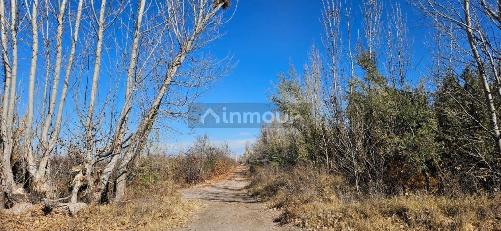 Finca en Venta en Lavalle, Mendoza
