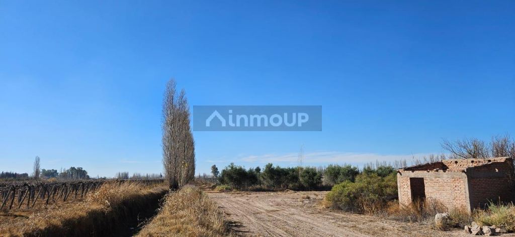 Finca en Venta en Lavalle, Mendoza
