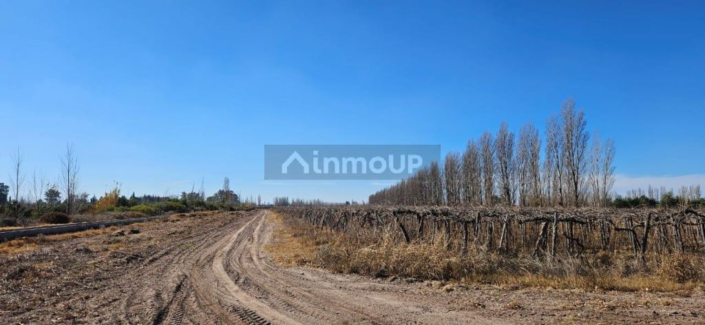 Finca en Venta en Lavalle, Mendoza