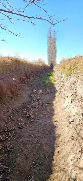 Finca en Venta en Lavalle, Mendoza