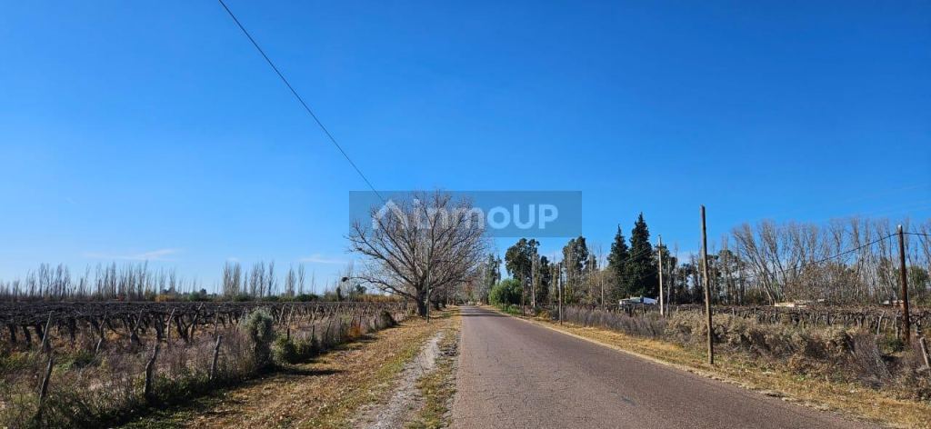 Finca en Venta en Lavalle, Mendoza