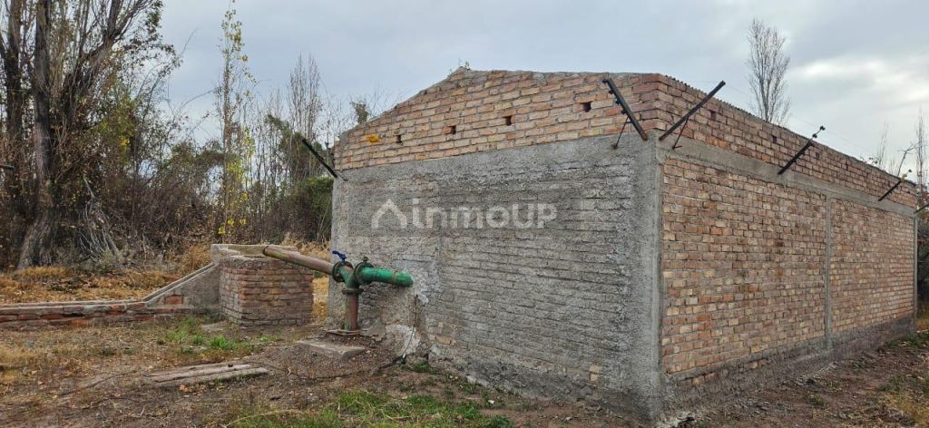 Finca en Venta en Lavalle, Mendoza