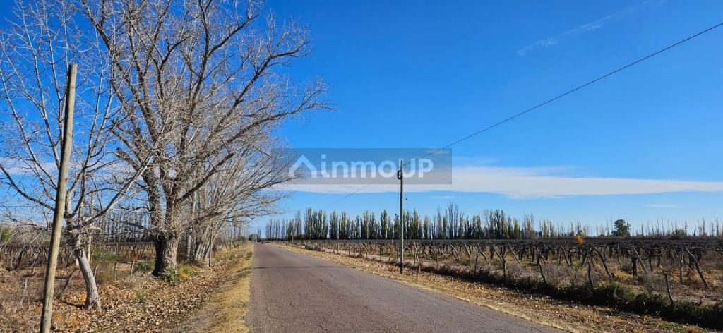 Finca en Venta en Lavalle, Mendoza