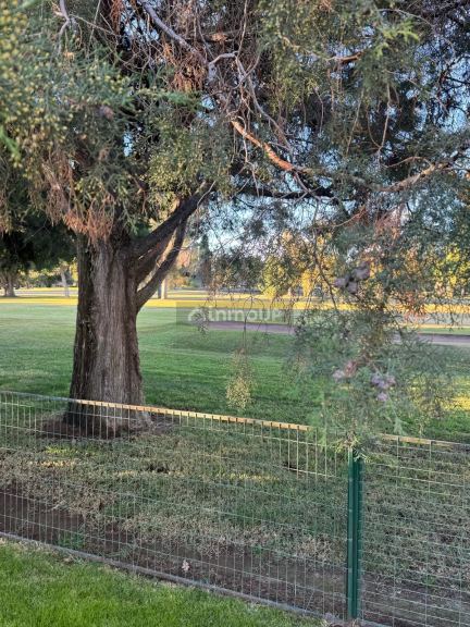 Casa en Alquiler en Guaymallen, Mendoza