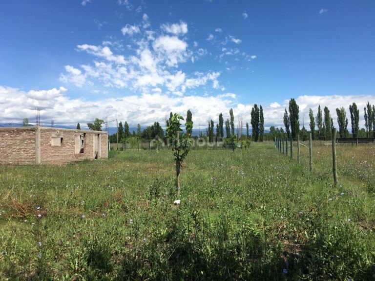 Terreno en Venta en Tunuyan, Mendoza