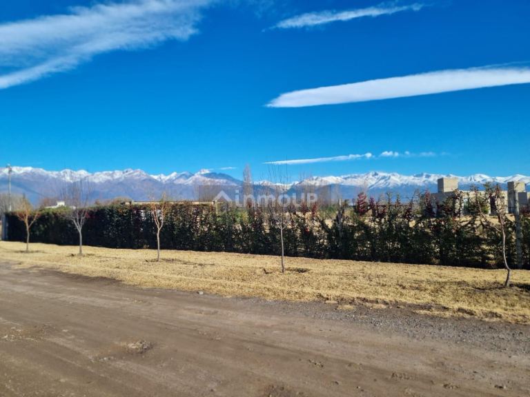 Terreno en Venta en Tunuyan, Mendoza