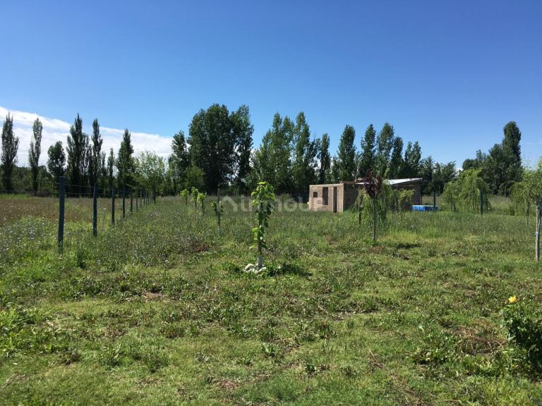 Terreno en Venta en Tunuyan, Mendoza