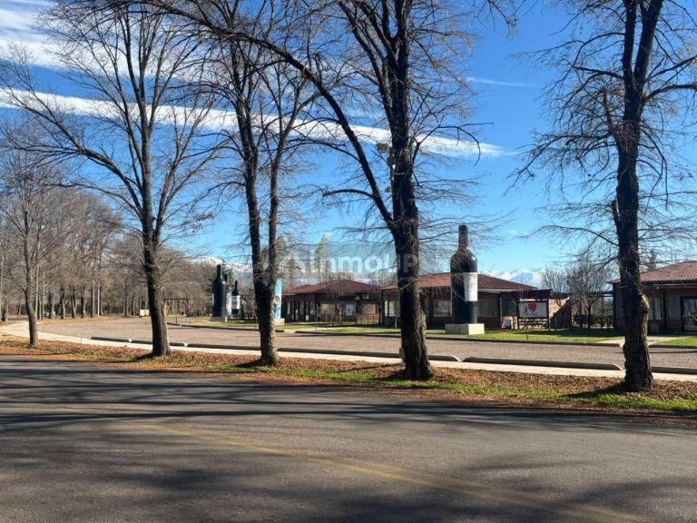 Terreno en Venta en Tunuyan, Mendoza