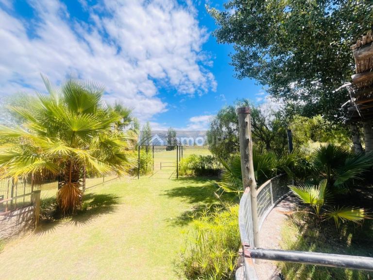 Local Comercial en Venta en Maipu, Mendoza