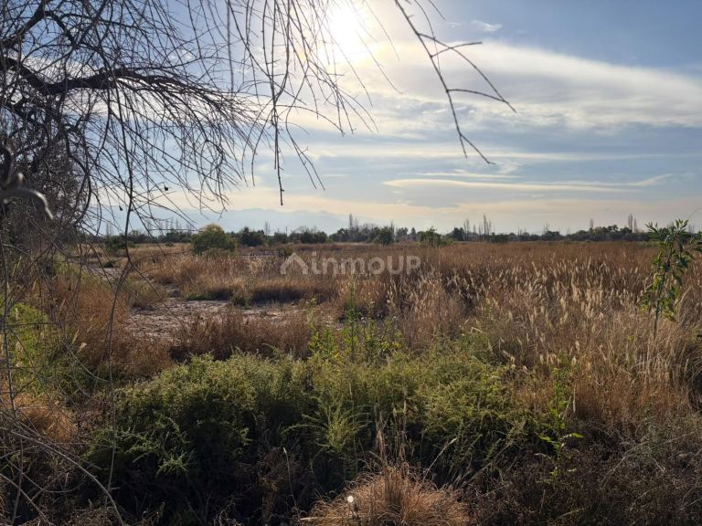 Terreno en Venta en Guaymallen, Mendoza