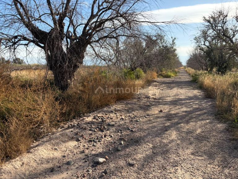 Terreno en Venta en Guaymallen, Mendoza