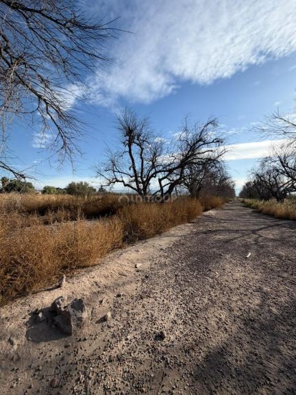 Terreno en Venta en Guaymallen, Mendoza