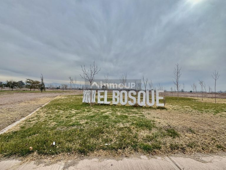 Terreno en Venta en Maipu, Mendoza