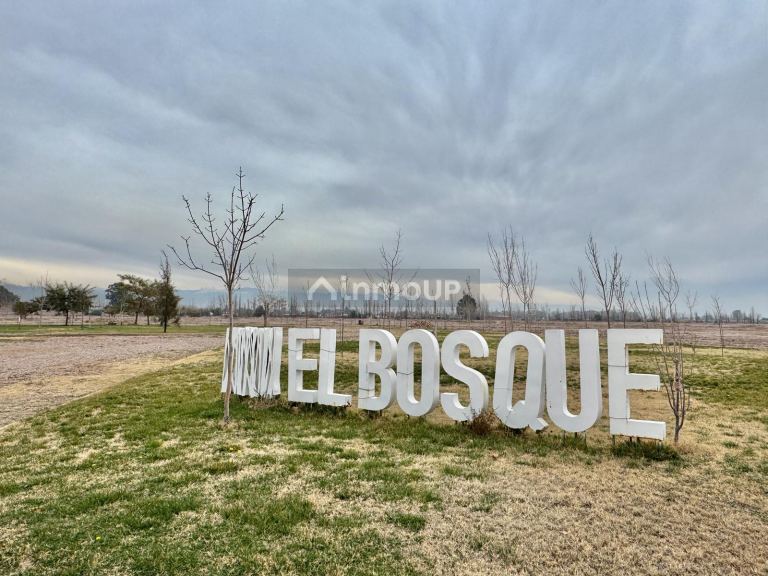 Terreno en Venta en Maipu, Mendoza