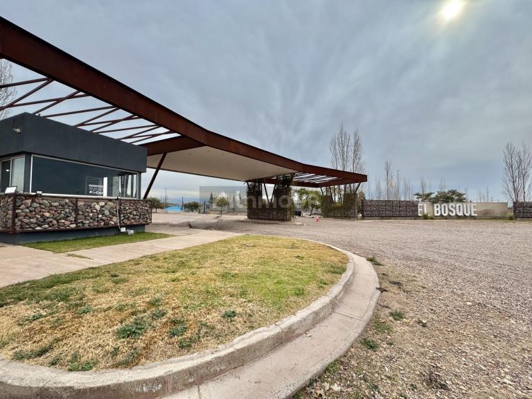 Terreno en Venta en Maipu, Mendoza