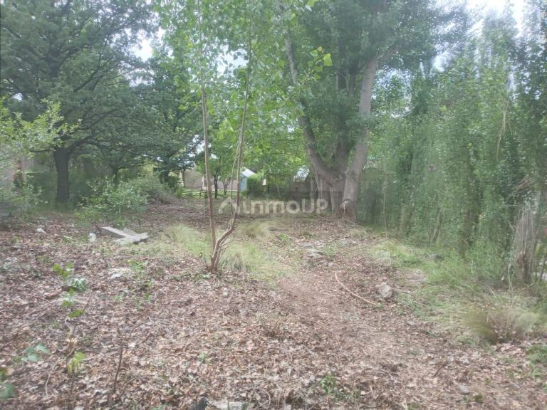 Terreno en Venta en Lujan de Cuyo, Mendoza