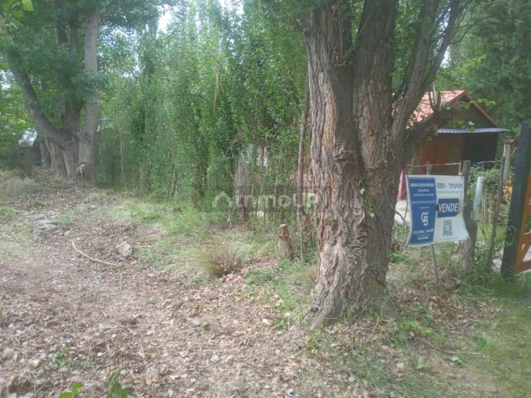 Terreno en Venta en Lujan de Cuyo, Mendoza