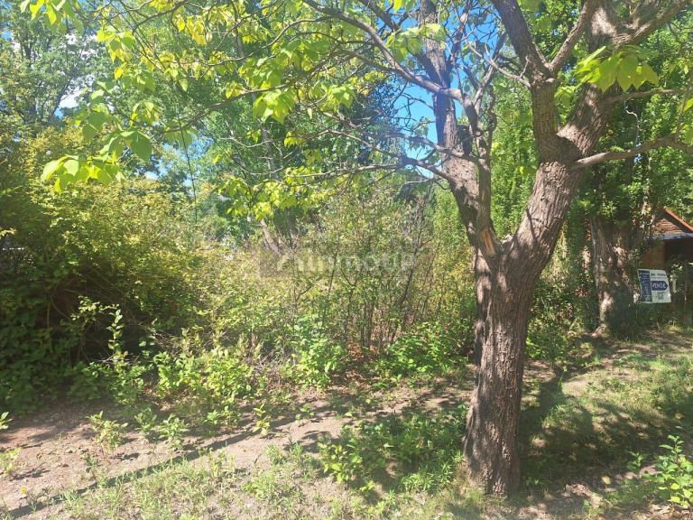 Terreno en Venta en Lujan de Cuyo, Mendoza