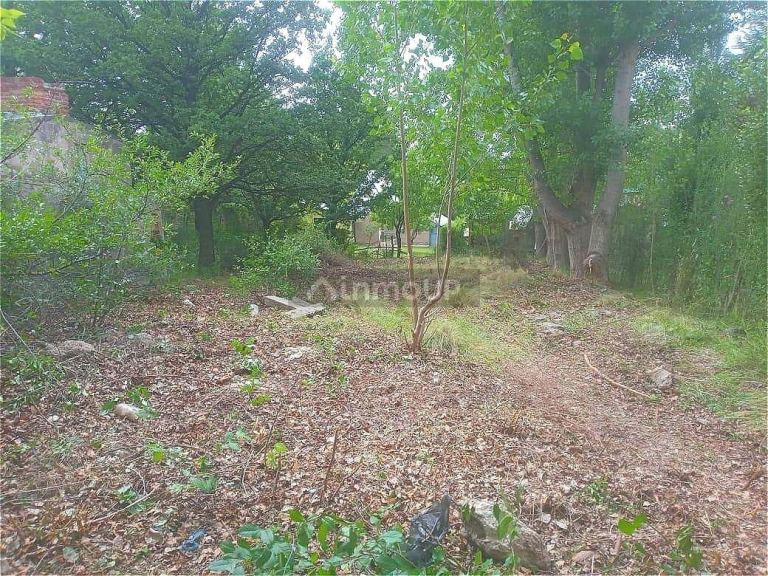 Terreno en Venta en Lujan de Cuyo, Mendoza