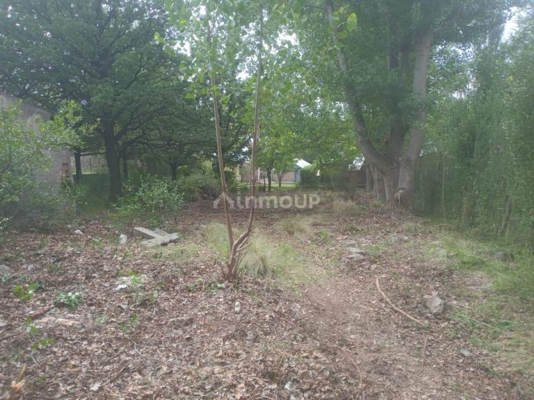 Terreno en Venta en Lujan de Cuyo, Mendoza