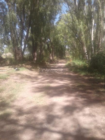 Campo en Venta en Tunuyan, Mendoza