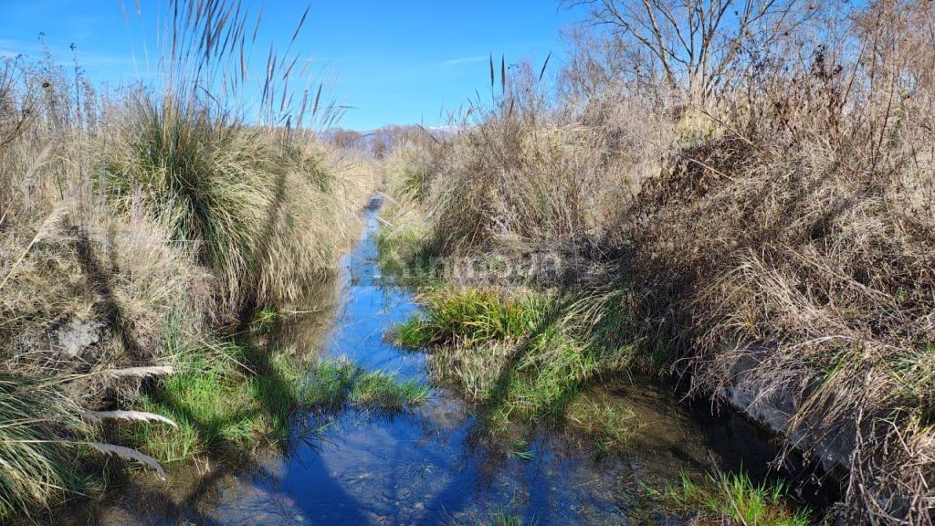 Campo en Venta en Tunuyan, Mendoza