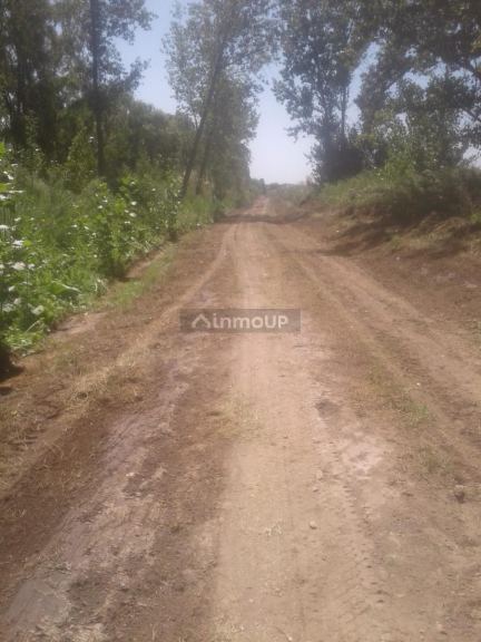 Campo en Venta en Tunuyan, Mendoza