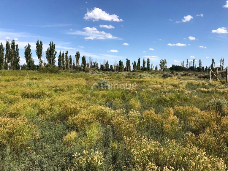 Lote en Venta en Lavalle, Mendoza