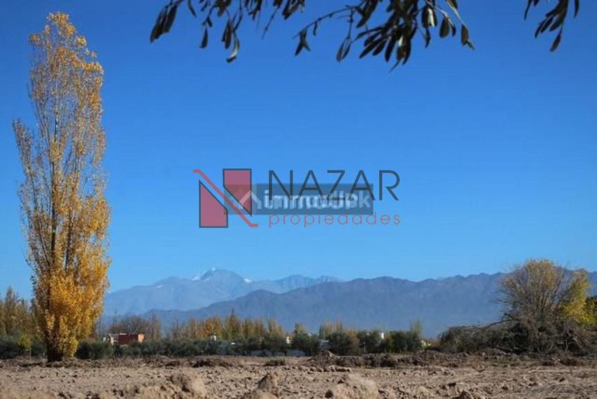 Lote en Venta en Lujan de Cuyo, Mendoza