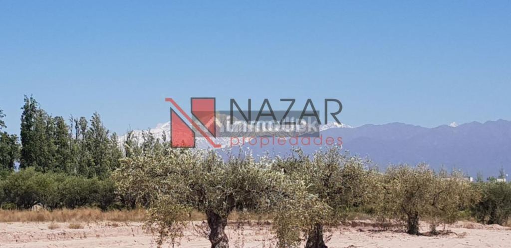 Lote en Venta en Lujan de Cuyo, Mendoza