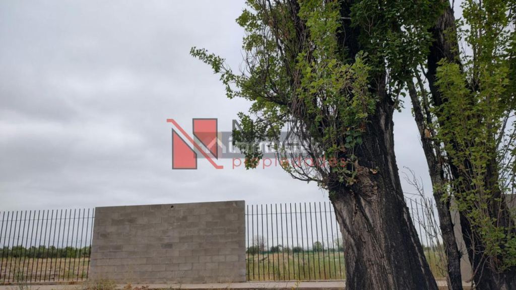 Lote en Venta en Lujan de Cuyo, Mendoza
