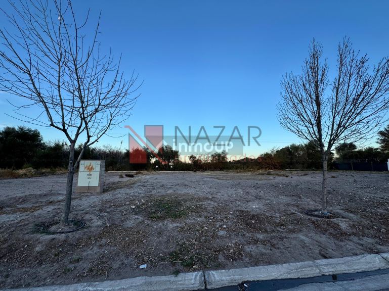 Lote en Venta en Lujan de Cuyo, Mendoza