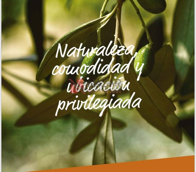 Lote en Venta en Lujan de Cuyo, Mendoza