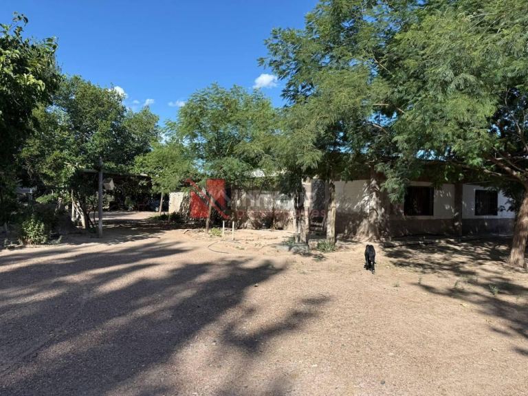 Finca en Venta en Junin, Mendoza