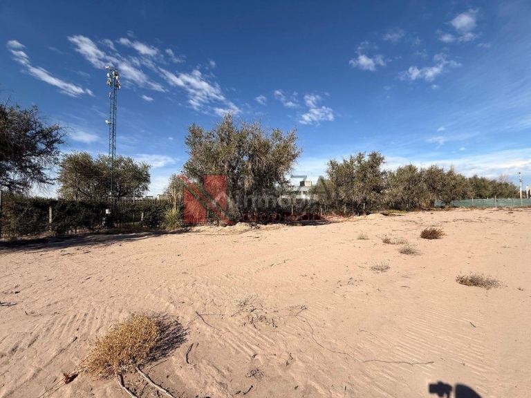 Lujan de Cuyo Barrio Privado Abedul, Carrodilla, Mendoza