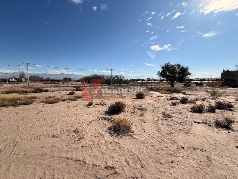 Lujan de Cuyo Barrio Privado Abedul, Carrodilla, Mendoza