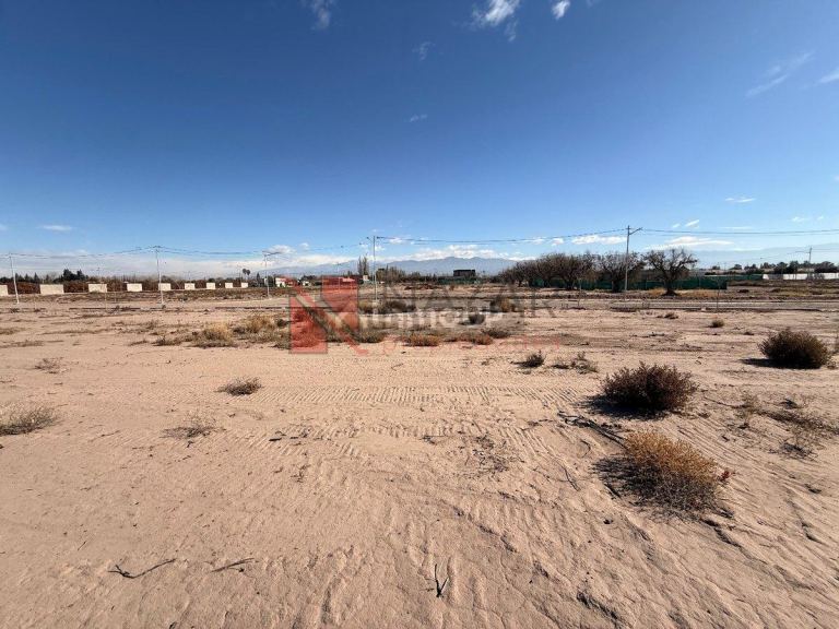 Lujan de Cuyo Barrio Privado Abedul, Carrodilla, Mendoza