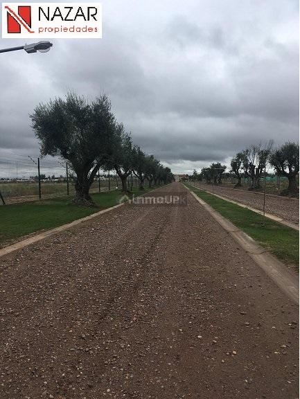Lote en Venta en Maipu, Mendoza