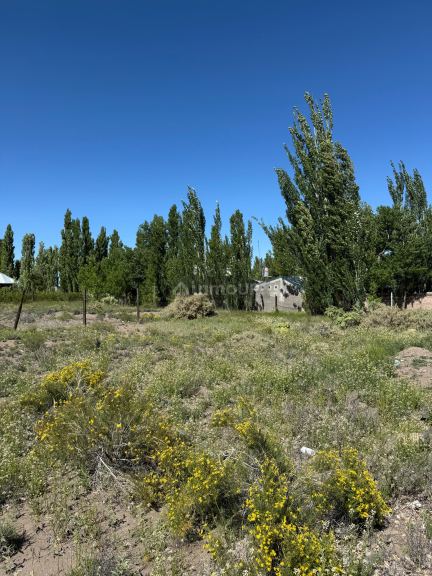 Lote en Venta en San Rafael, Mendoza