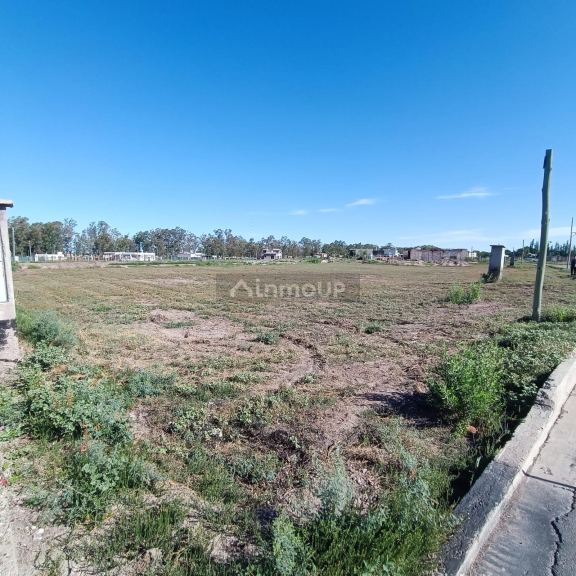 Lote en Venta en Guaymallen, Mendoza
