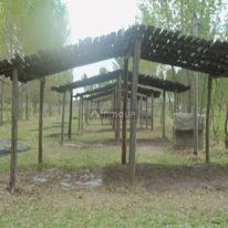 Campo en Alquiler en San Carlos, Mendoza