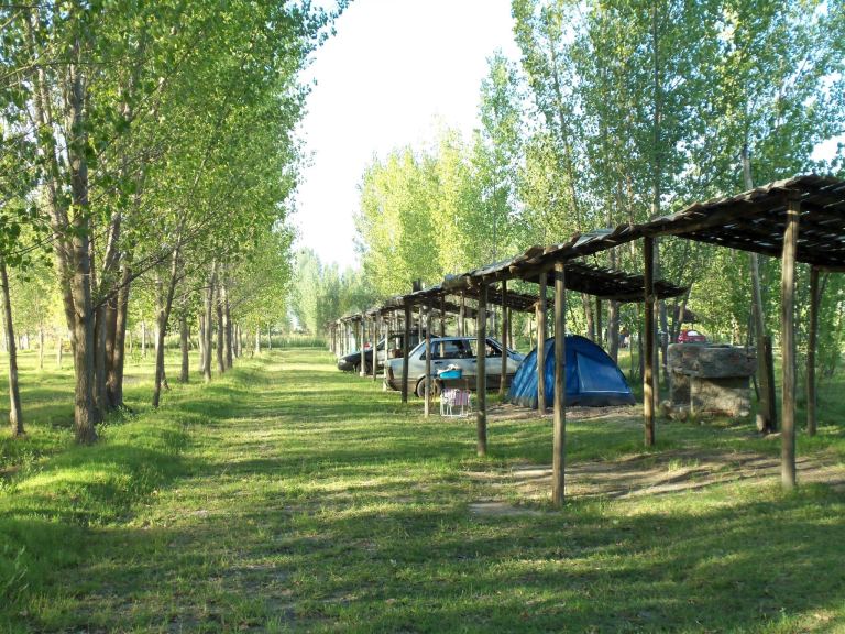 Campo en Alquiler en San Carlos, Mendoza