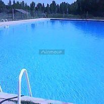 Campo en Alquiler en San Carlos, Mendoza