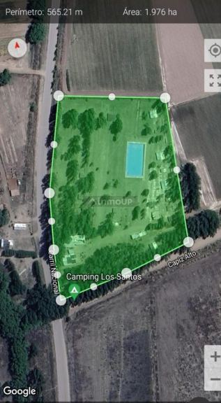Campo en Alquiler en San Carlos, Mendoza