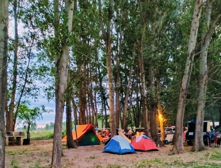 Campo en Alquiler en San Carlos, Mendoza