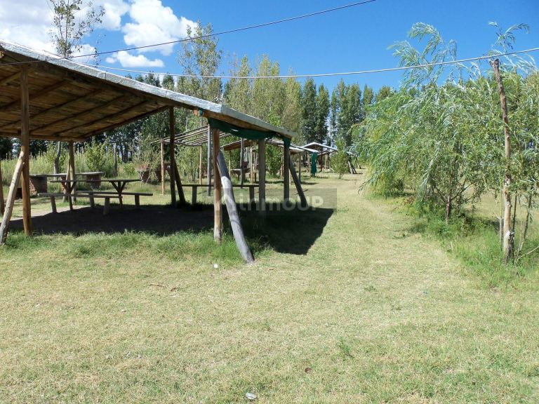 Campo en Alquiler en San Carlos, Mendoza