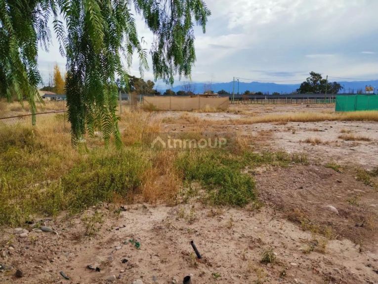 Lote en Venta en Maipu, Mendoza