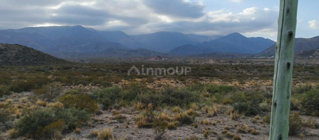 Lote en Venta en Lujan de Cuyo, Mendoza