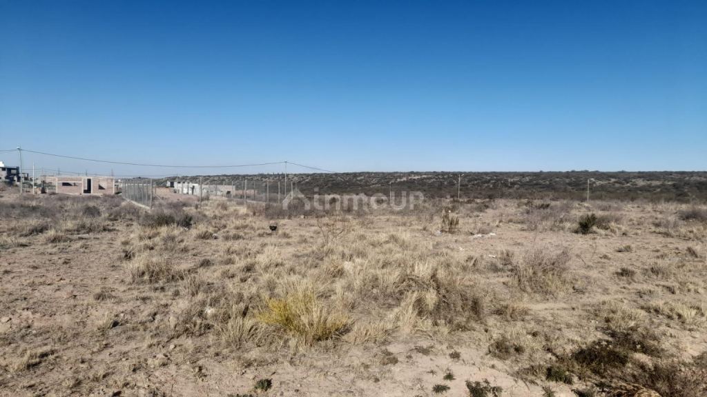 Lote en Venta en Lujan de Cuyo, Mendoza